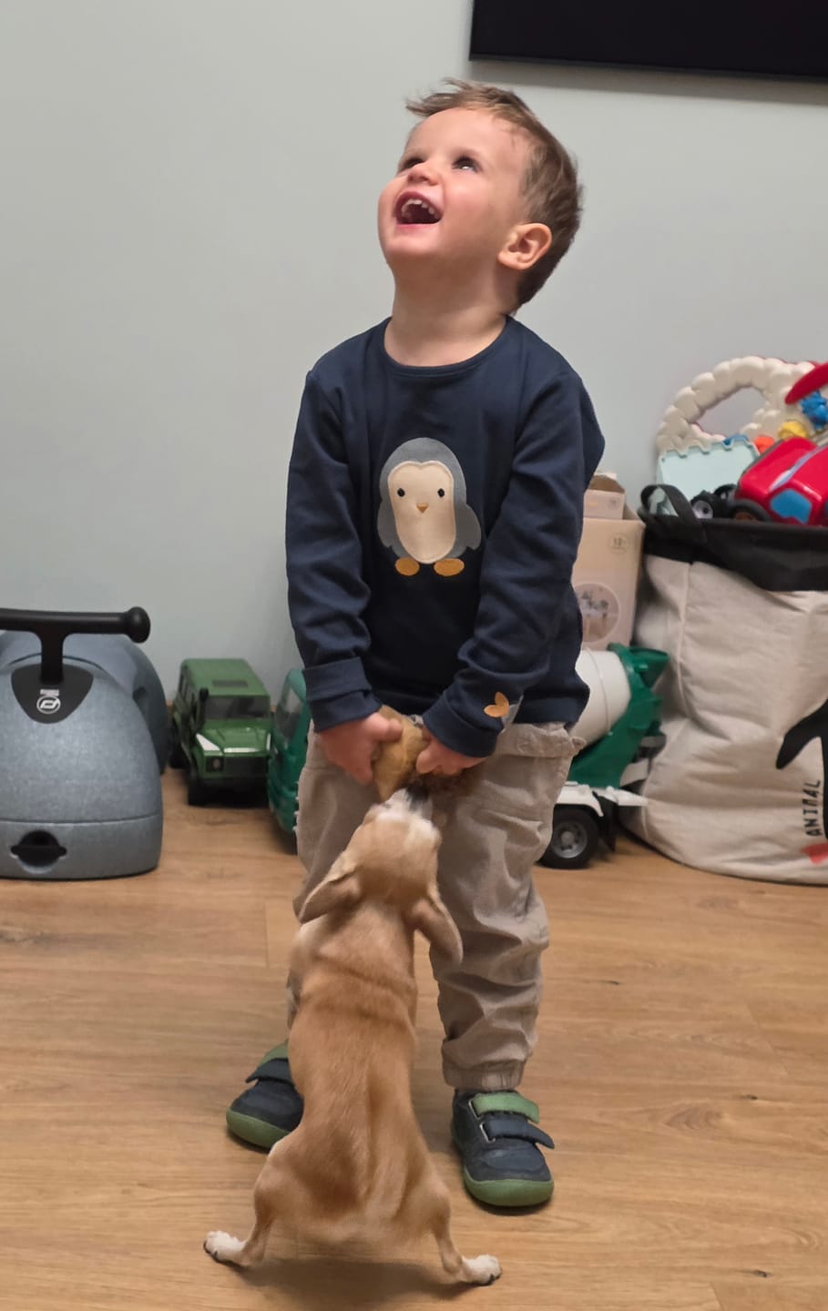 Customer photo review of Blue Penguins Applique Long Sleeve T-Shirt