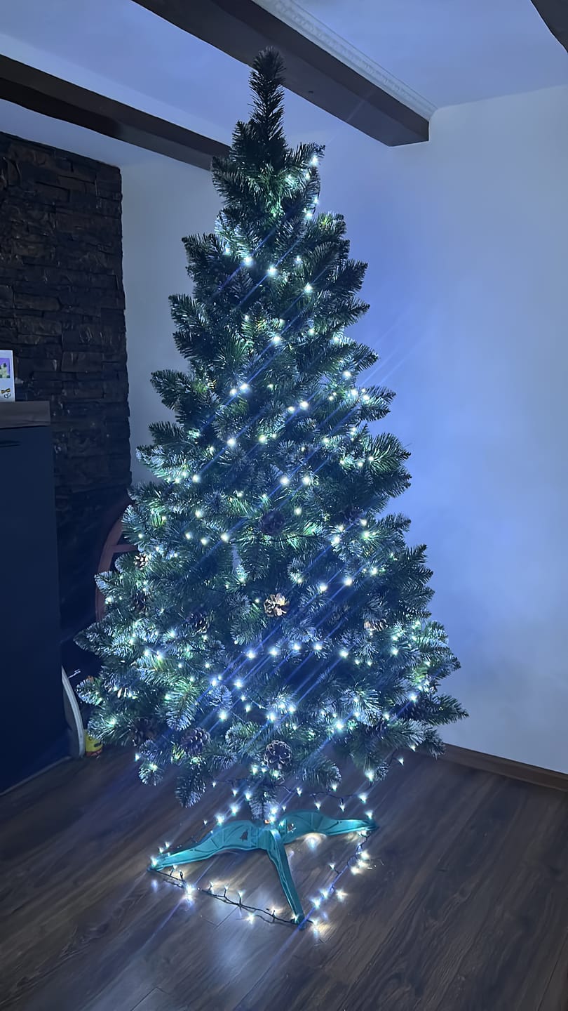 Customer photo review of Brad artificial de Crăciun Pădure de Iarnă, nins cu conuri naturale, 2D, 220 cm