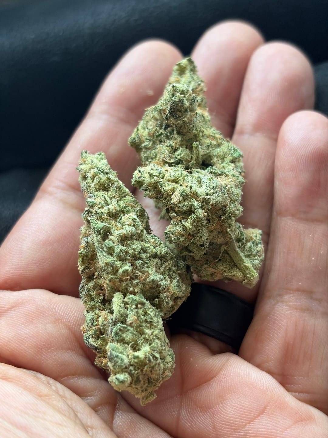 Customer photo review of Cheap Indoor THCA Flower Ounce