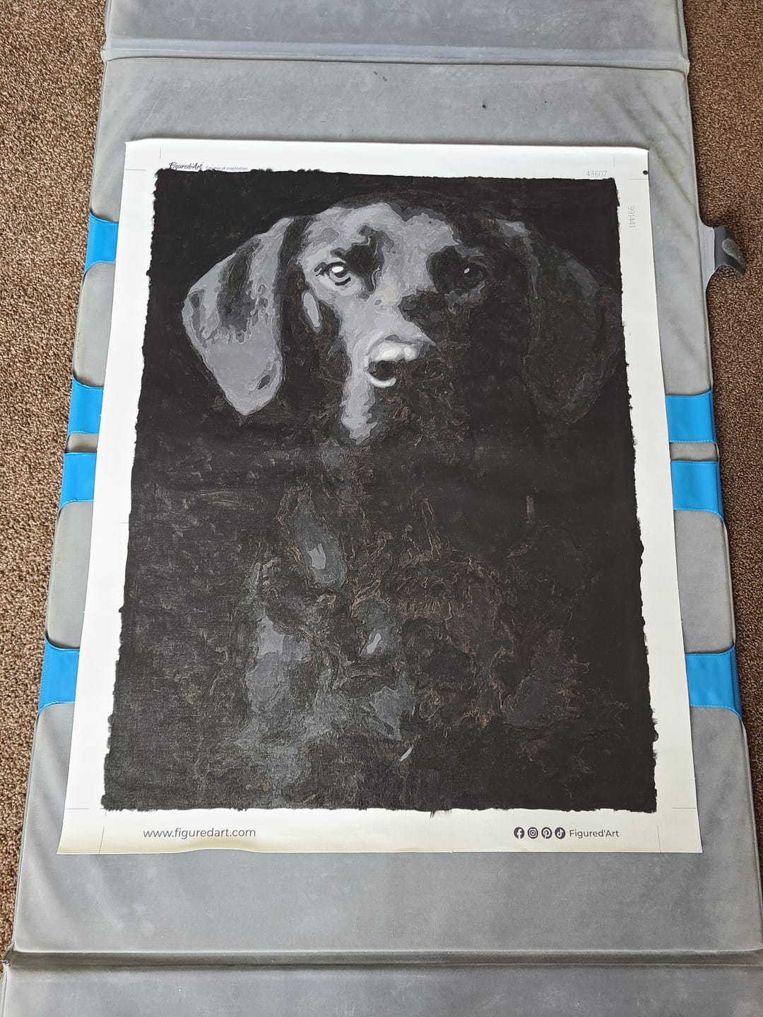 Customer photo review of Portrait de Chien noir