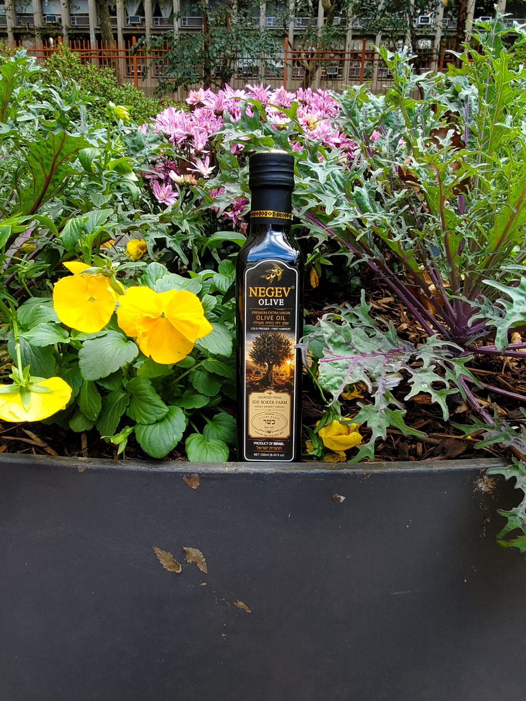 Customer photo review of NEGEV Israeli Extra Virgin Olive Oil כשר