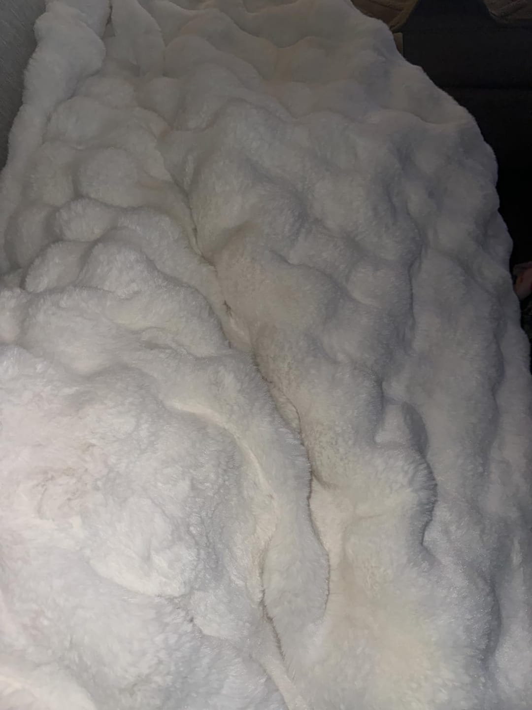 Customer photo review of CloudNap Plush Throw Blanket