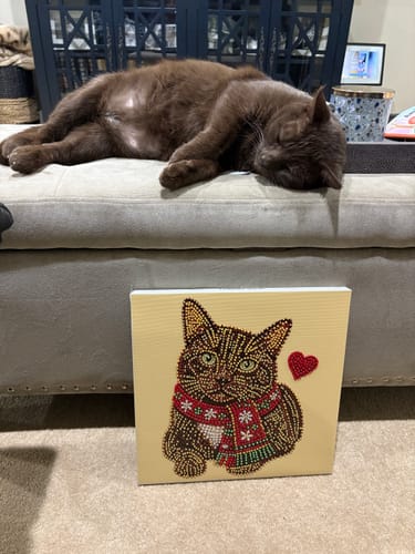 Customer's Personalized 3D Pearl Art DIY Kit next to a sleeping brown cat on a sofa.