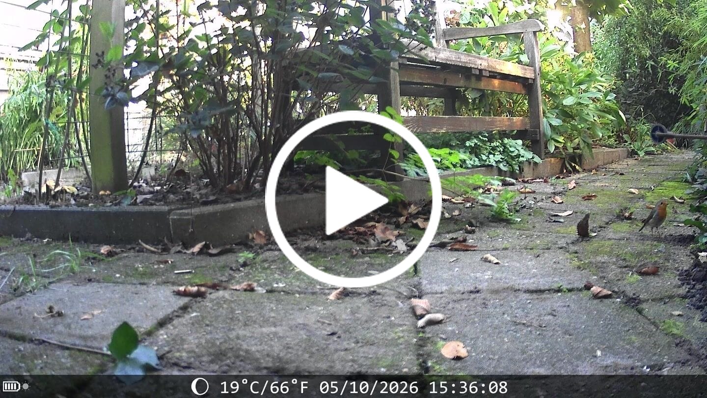Customer video review of Siltcon Wildcamera met zonnepaneel aan kabel