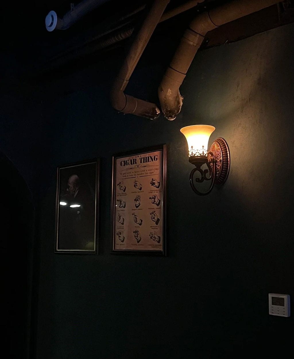 Customer photo review of Black Iron Wall Light, Two Arms, Glass Shades, Wall Sconce