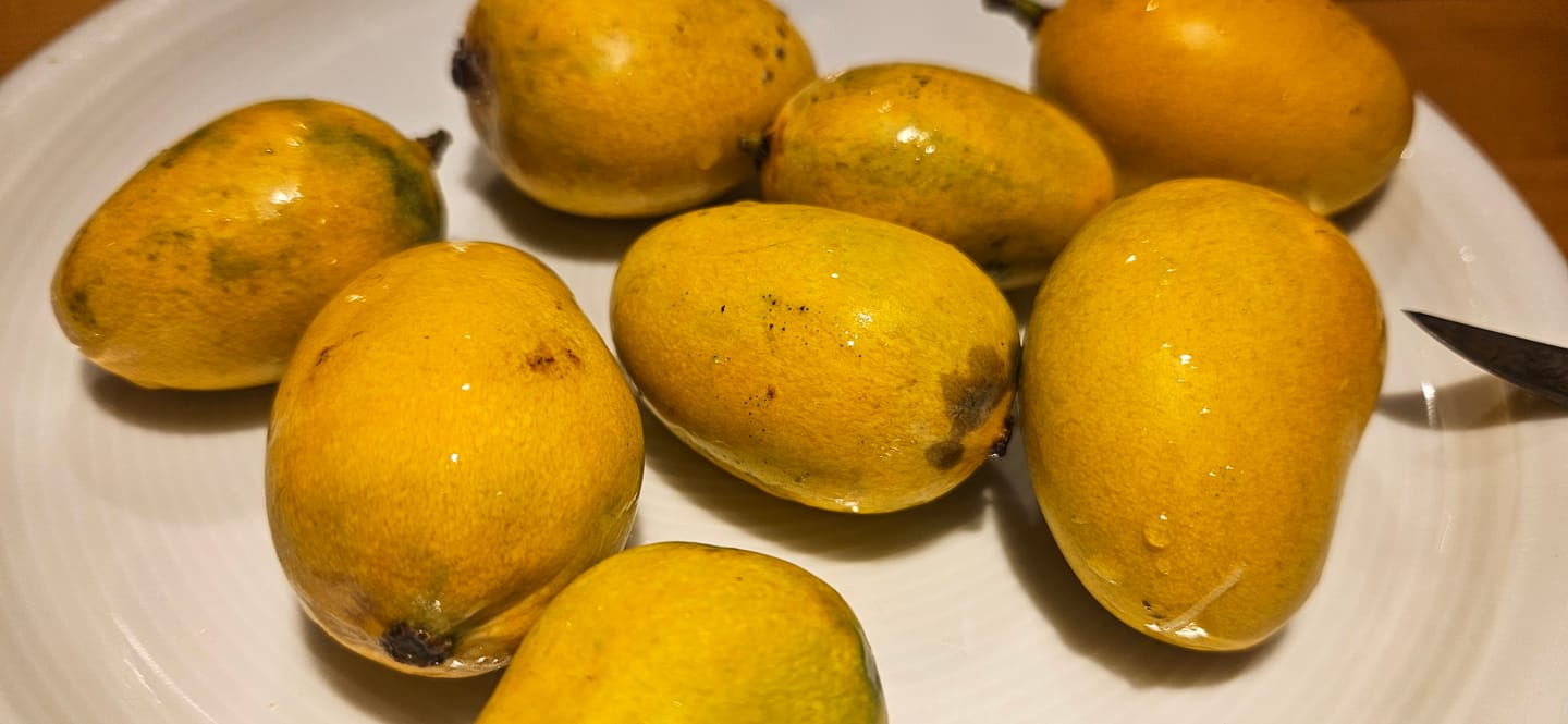 Customer photo review of Mini-Mango von Juan 3kg Retterbox %
