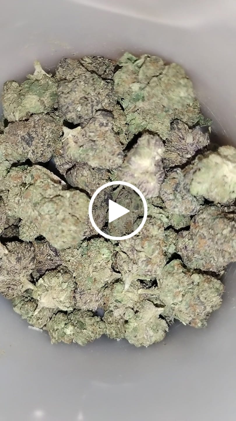 Customer video review of Razzleberry (Indoor Mediums) - THCA Flower