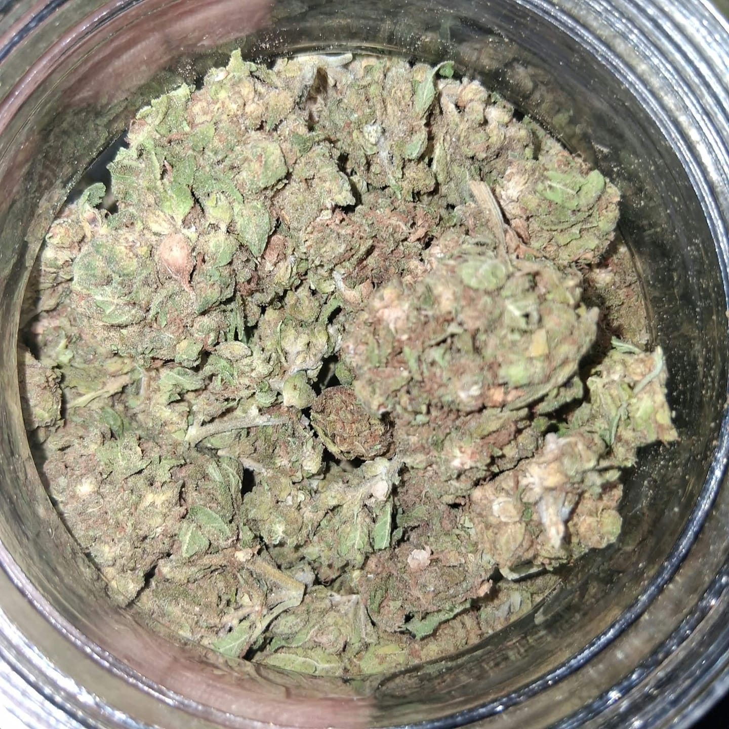Customer photo review of Pink Certz Minis - Bulk Minis - Indica
