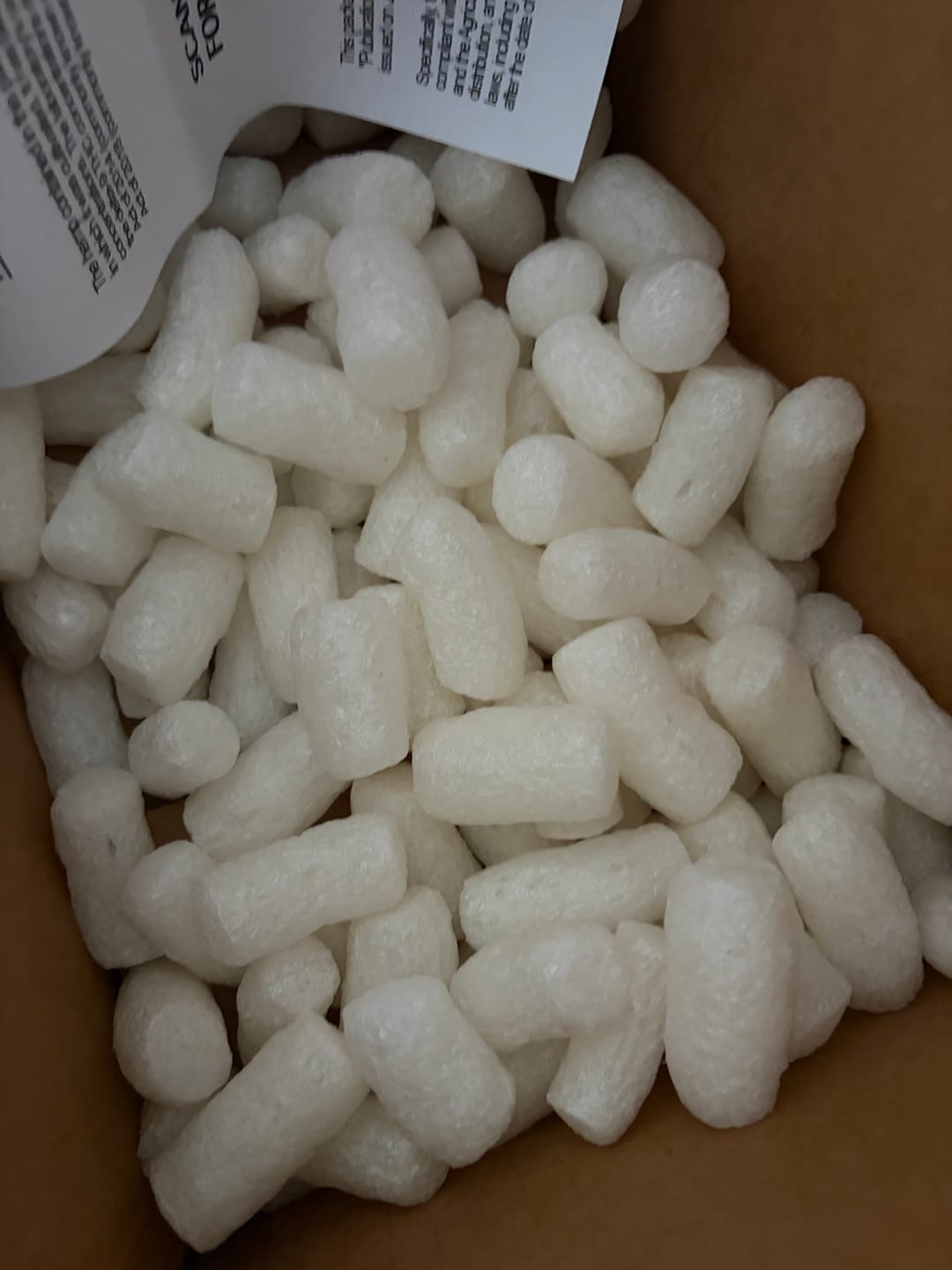 Customer photo review of Bulk Discount Indoor Flower
