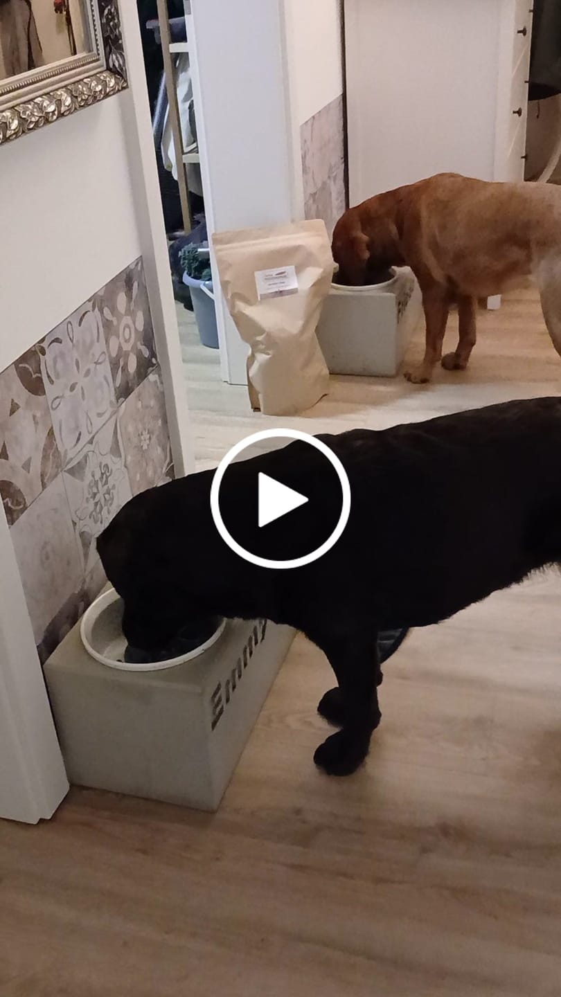 Customer video review of Karotten Chips