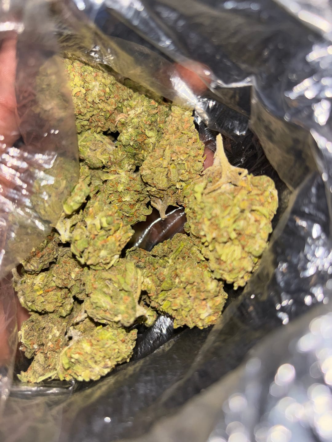 Customer photo review of Raspberry Kush - Bulk- Indica