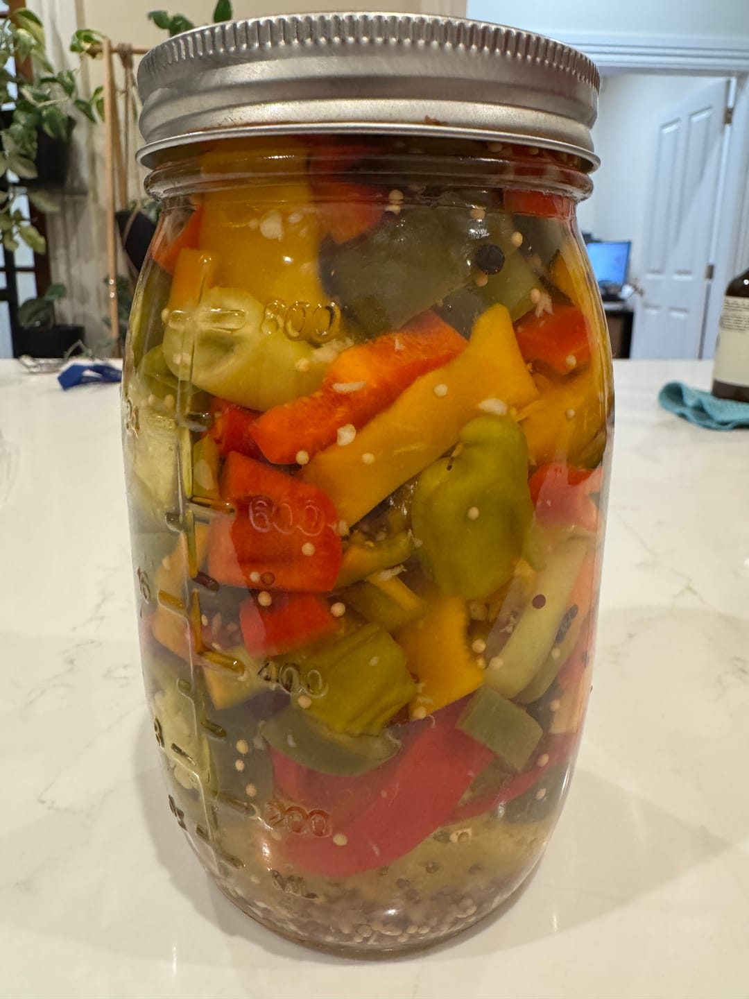 Customer photo review of Fresh Chillies Mixed Box – Without Super Hot