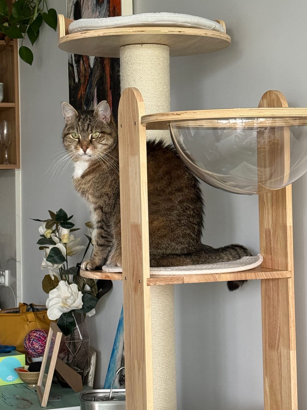 Customer photo review of NUMERI® Solid Wood Multi-Level Cat Tower - 183cm
