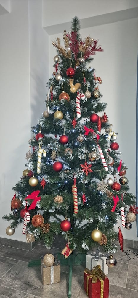 Customer photo review of Brad artificial de Crăciun Pădure de Iarnă, nins cu conuri naturale, 2D, 200 cm