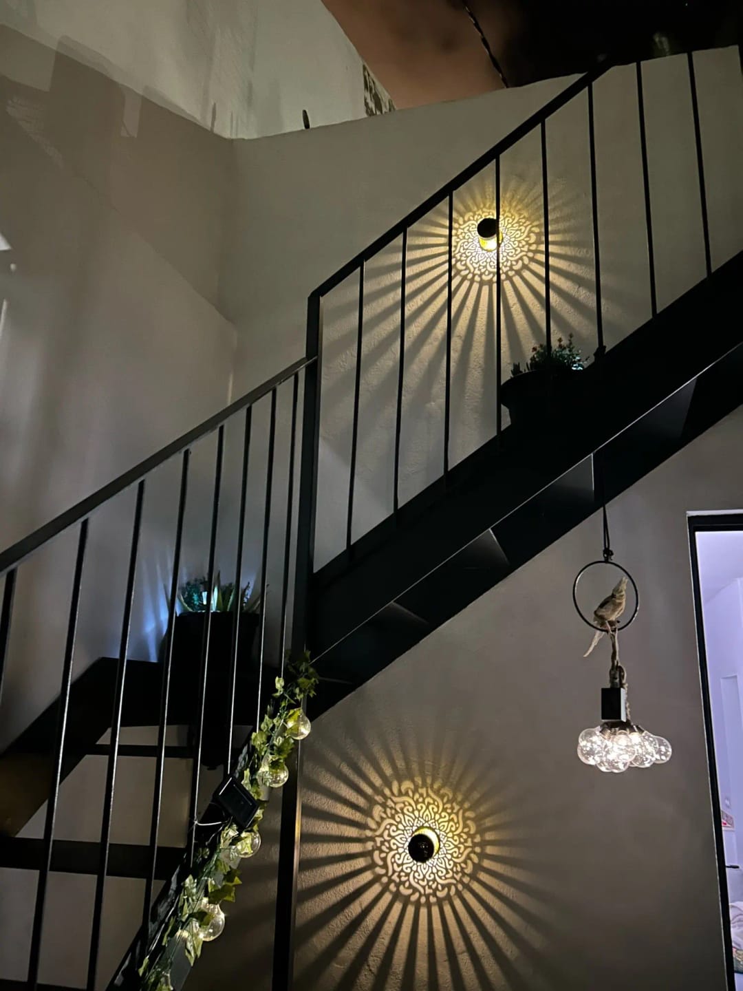Customer photo review of LumiMandala™ – Solar Rainbow Garden Light
