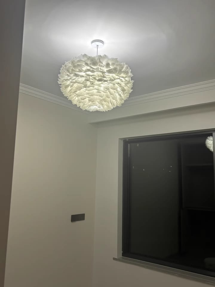 Customer photo review of Goose Feather Pendant Light, Cloud Shade, Dimmable, 40 to 80 cm