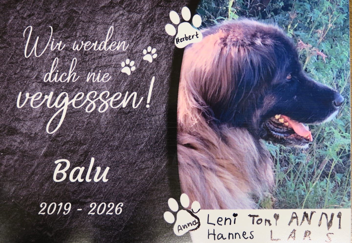 Customer photo review of Hunde Gedenktafel mit Foto & Spruch (UV- &  Wetterfest)