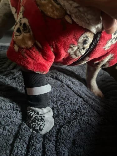 Customer photo review of Anti-Slip Dog Socks for Slippery Floors