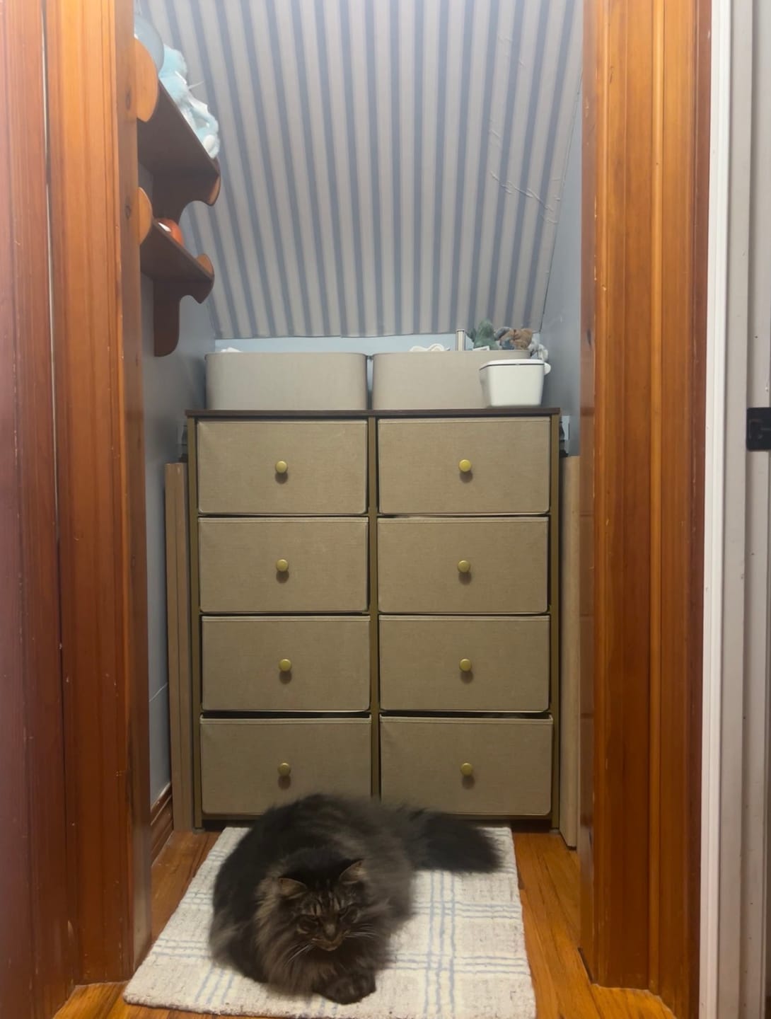 Customer photo review of Curt Wallpaper by Hailey Kiefer Designs