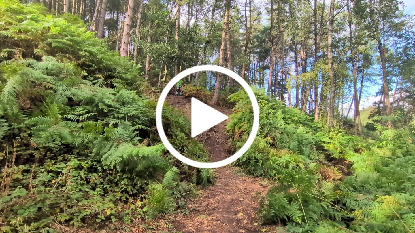 Customer video review of Maxxis Minion DHF Exo TR 29" Folding Tyre - 29" Tubeless Ready