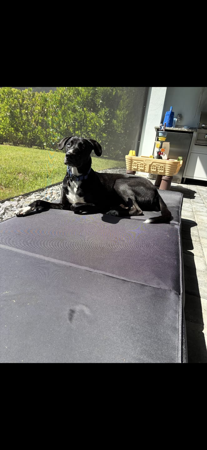 Customer photo review of Big Ass Tri-FoldAway™