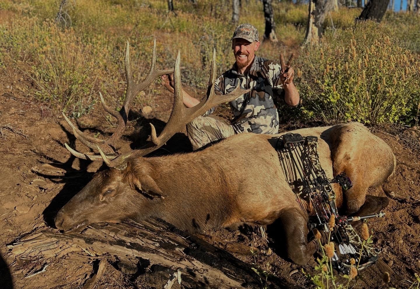 Customer photo review of Cut on Contact Titanium Broadheads (3 Pack)