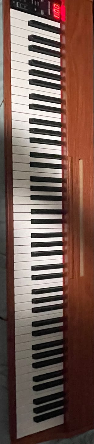 Customer photo review of Donner DEP-1S Piano Teclado con Pesos Semi-pesado