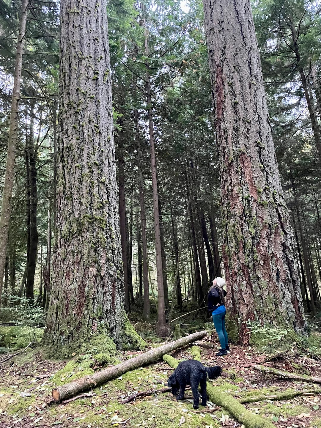 Customer photo review of Will II - Winter Barefoot Shoes