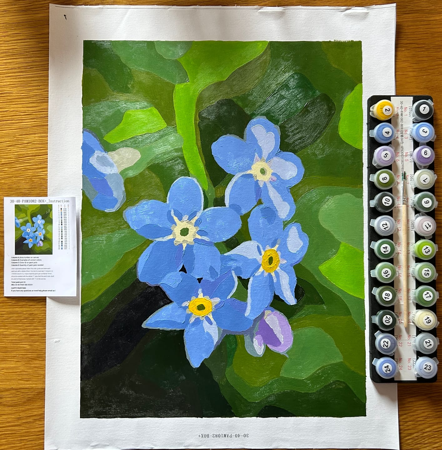 Customer photo review of Custom Paint by Numbers Kit from Your Photo