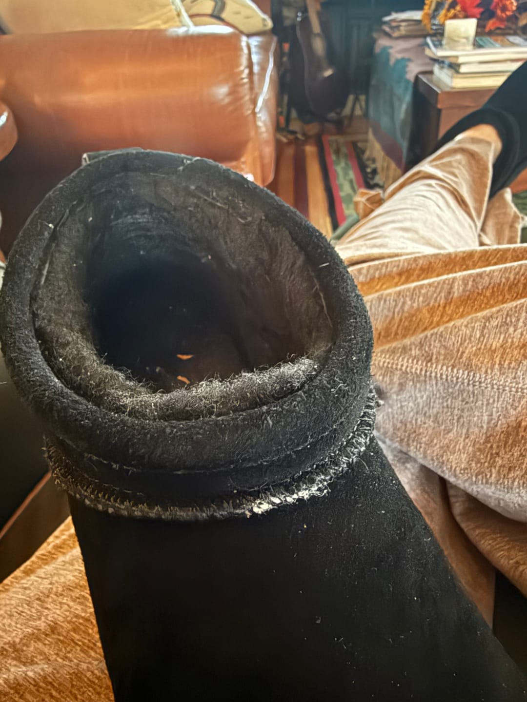 Customer photo review of RETRO SUPER SHORTY BLACK