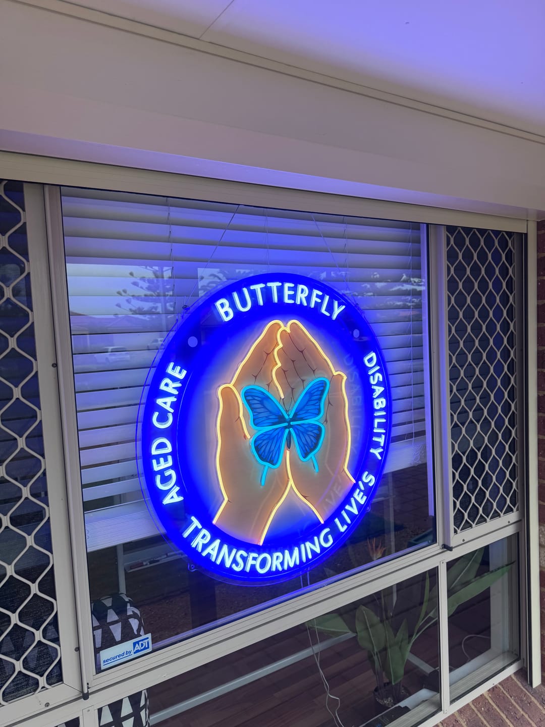 Customer photo review of BUTTERFLY | LED Neon Sign