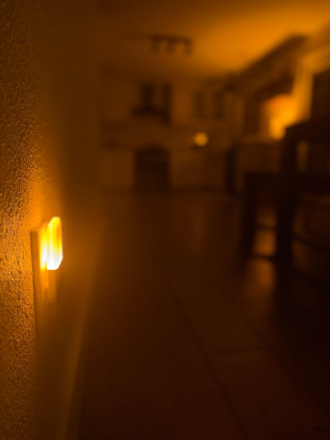 Customer photo review of Circadian Night Light