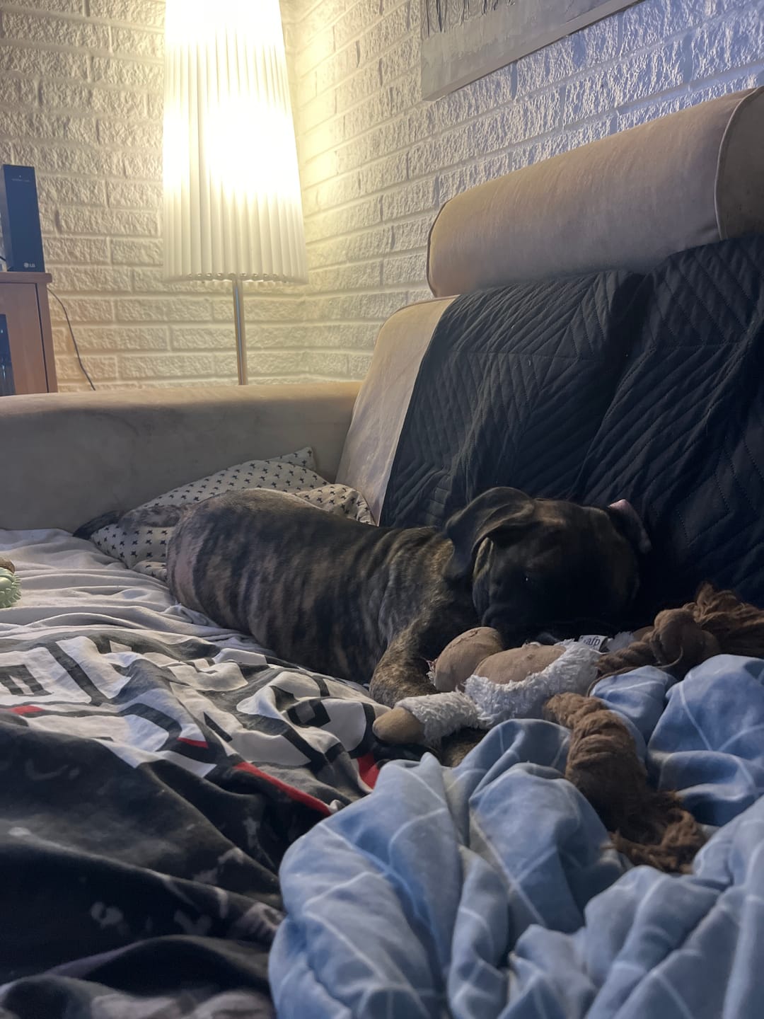 Customer photo review of Hundebamse m. Reb - Assorteret Parti