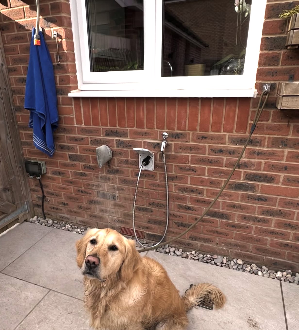 Customer photo review of PetJet Hot Outdoor Mixer Dog Shower®