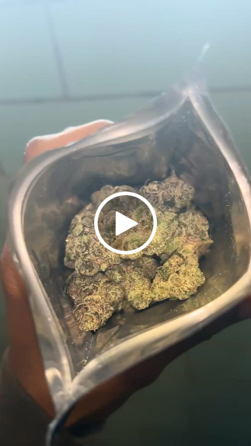 Customer video review of Blueberry THCA Flower (Exotic)