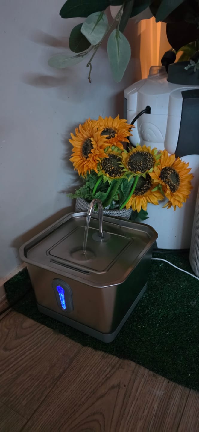 Customer photo review of Petbuds Smart Cat Drinking Fountain