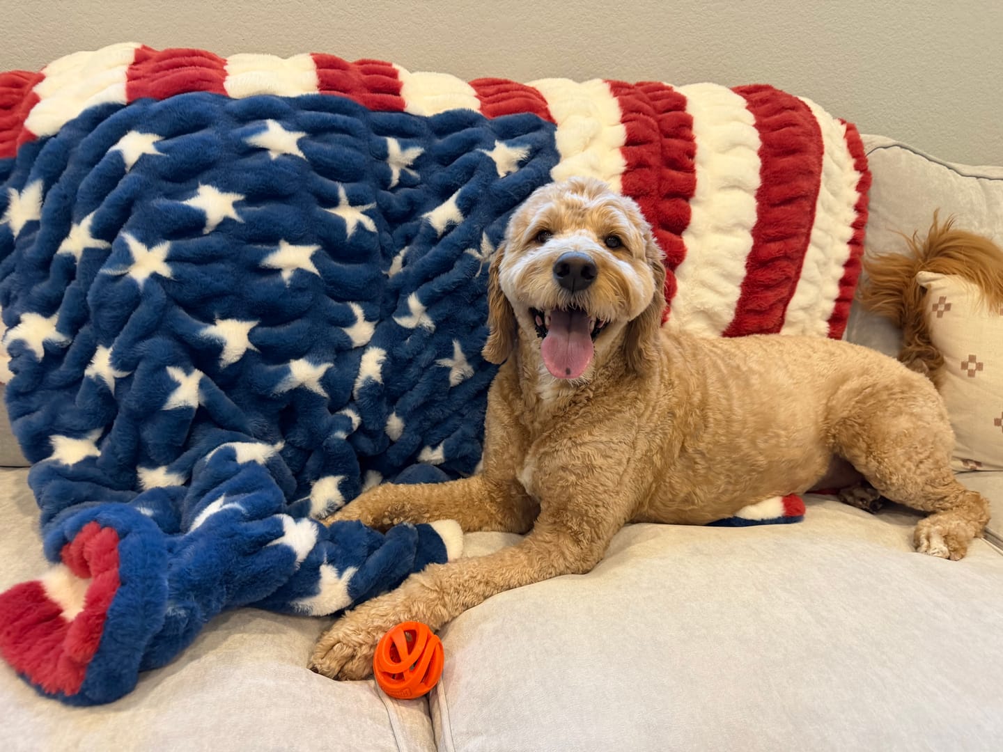 Customer photo review of Hugs Flag Blanket