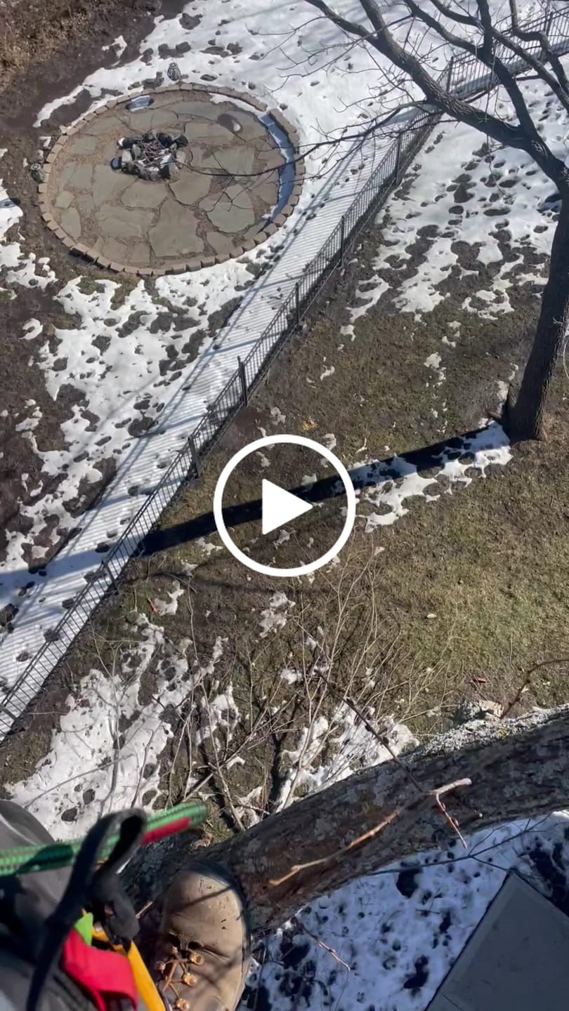 Customer video review of Arbo Space Thunder X Lanyard