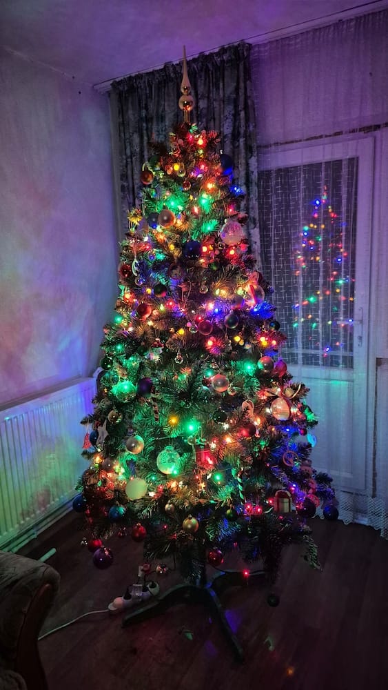 Customer photo review of Brad artificial de Crăciun Pădure de Iarnă, nins cu conuri naturale, 2D, 220 cm