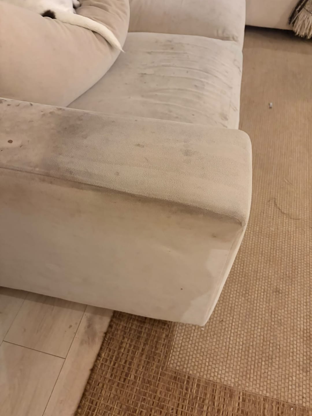 Customer photo review of Textil Cleaner 500 ml