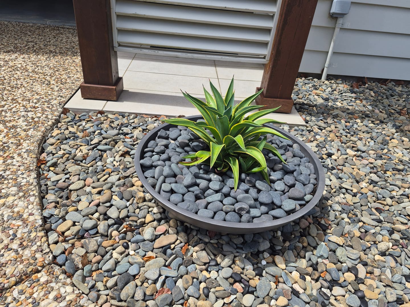 Customer photo review of Grey Tapered Low Bowl Planter - Various sizes available