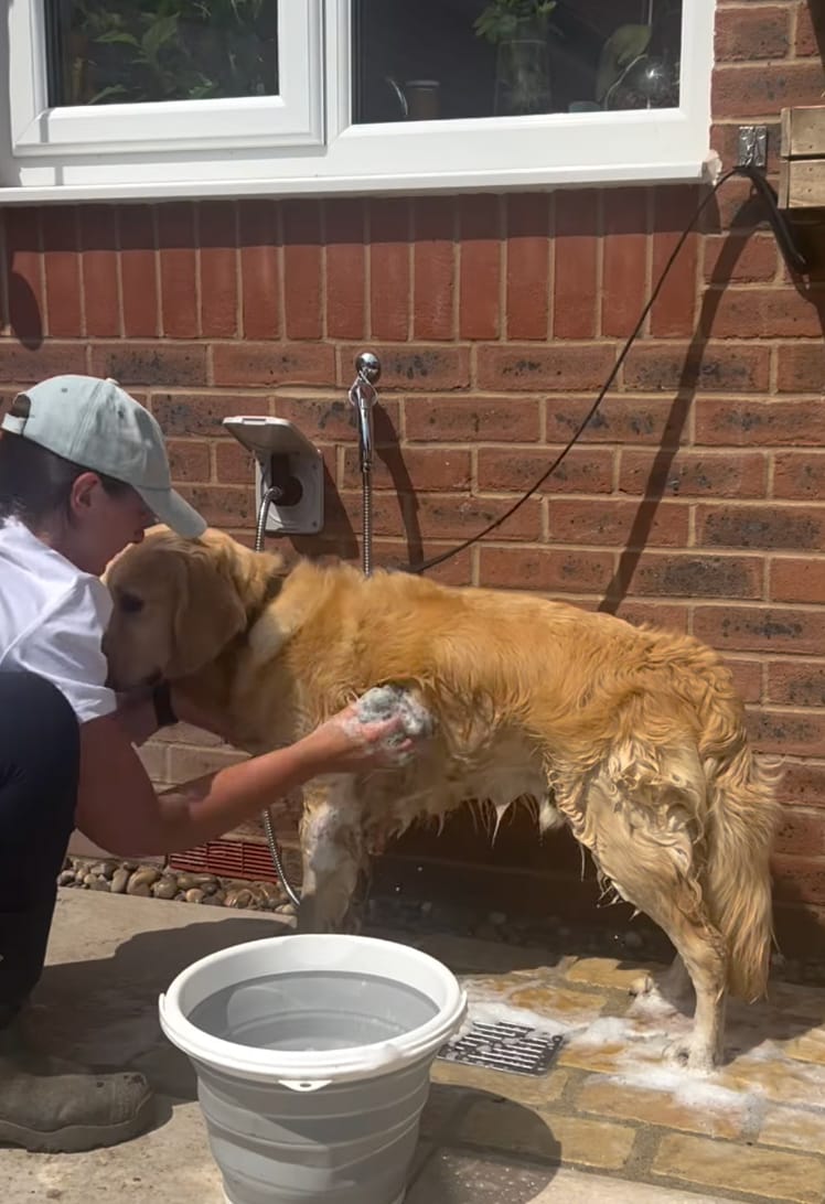 Customer photo review of PetJet Hot Outdoor Mixer Dog Shower®