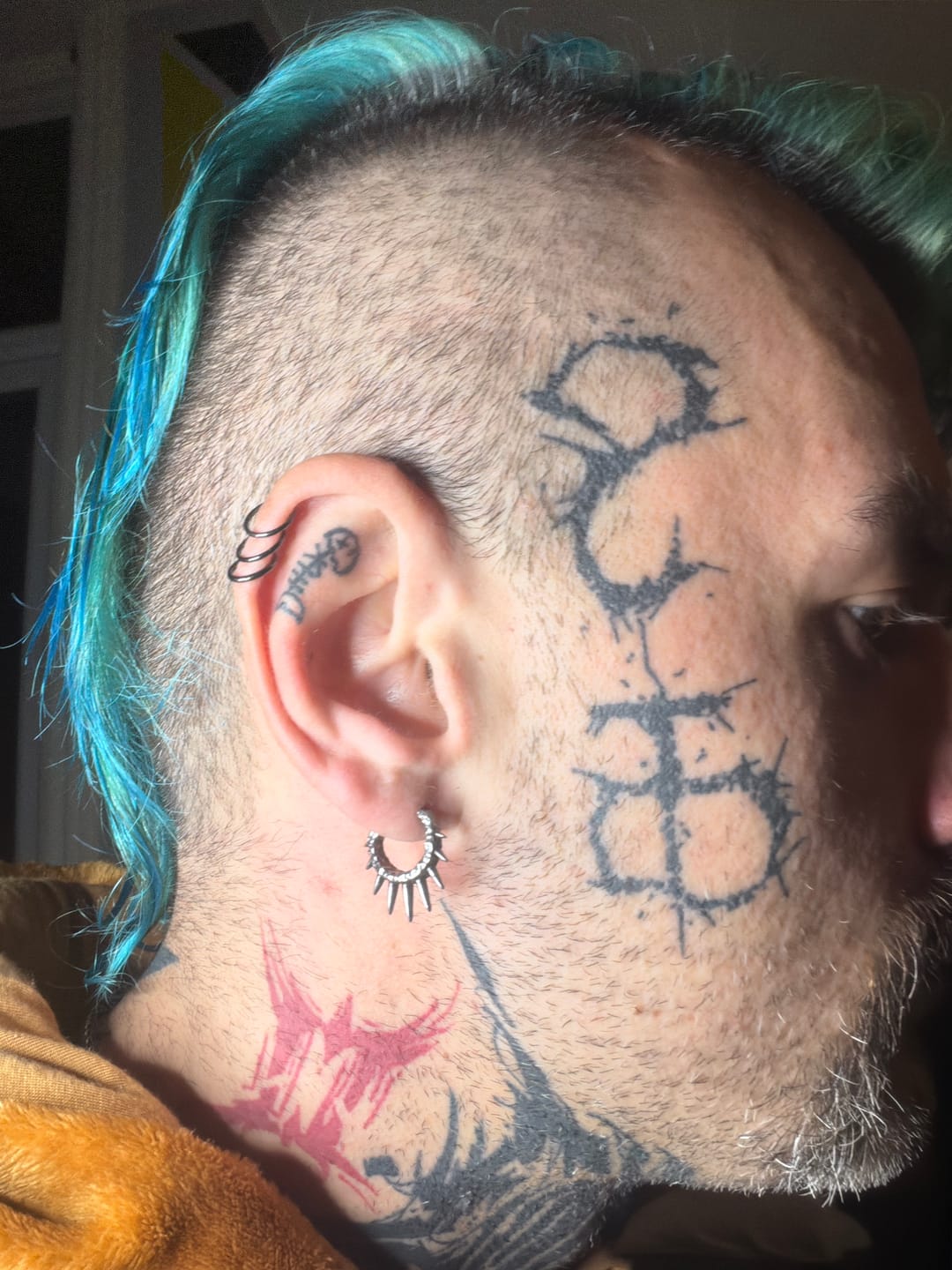 Customer photo review of Spike Hoop Earrings