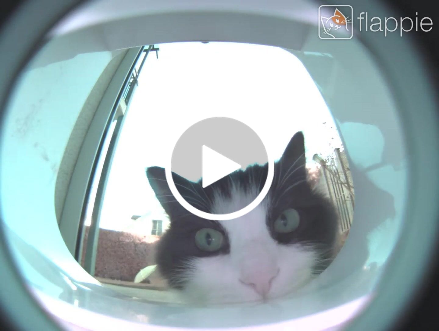 Customer video review of Flappie®