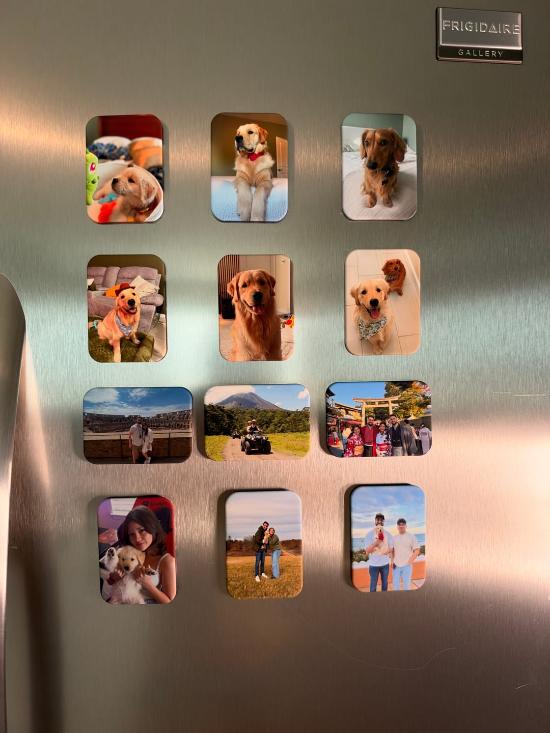 Customer photo review of Custom Pet Photo Magnets, Velvet Finish, Personalized Dog & Cat Fridge Magnet