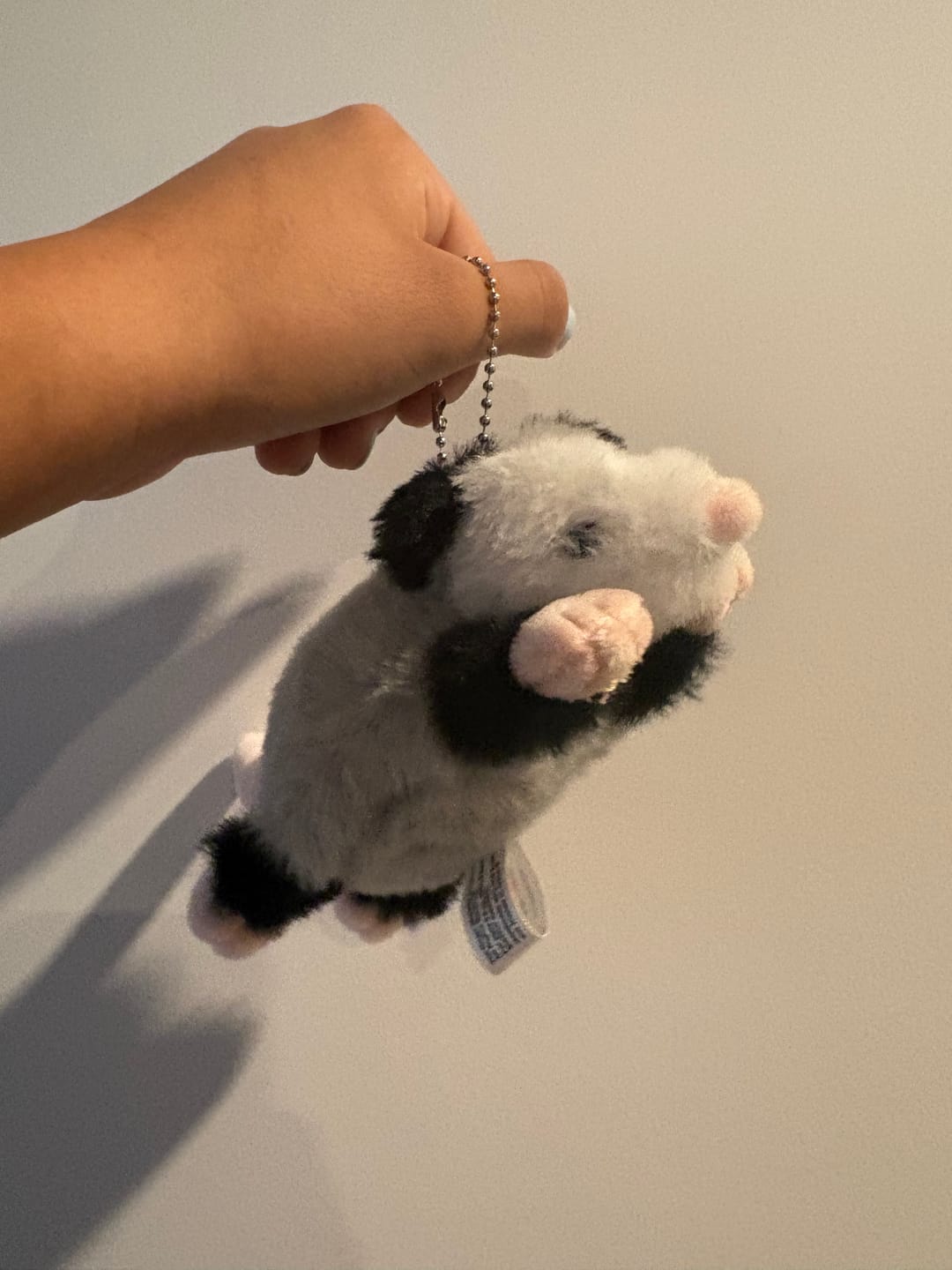 Customer photo review of Forgotten Peter the Opossum