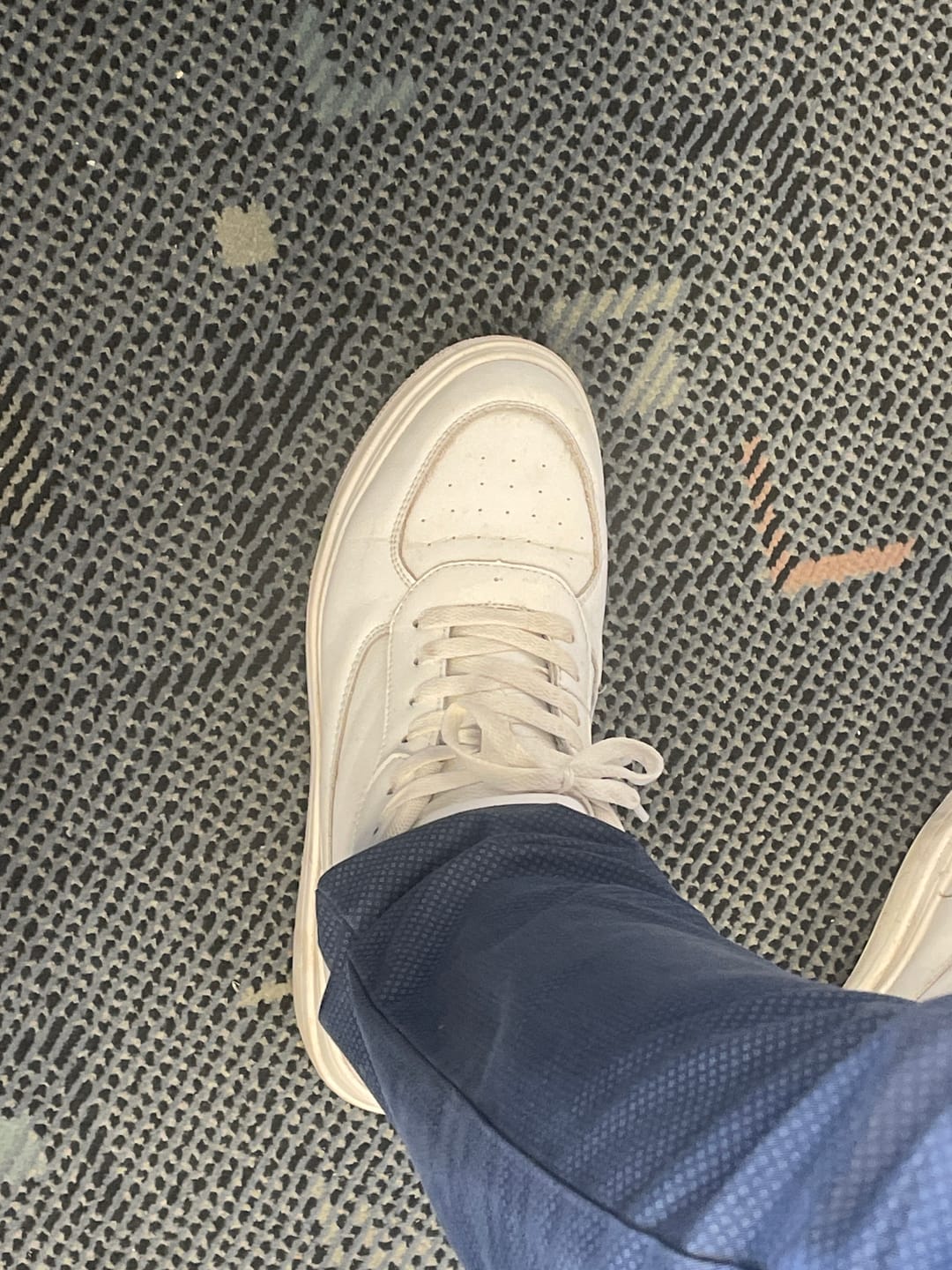 Customer photo review of ELEVATESHOES CLASSY BOGO