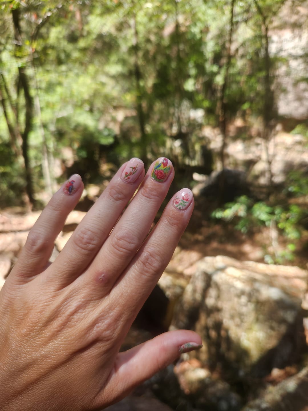 Customer photo review of Birdies | Kayla Reay Collab Nail Polish Wrap