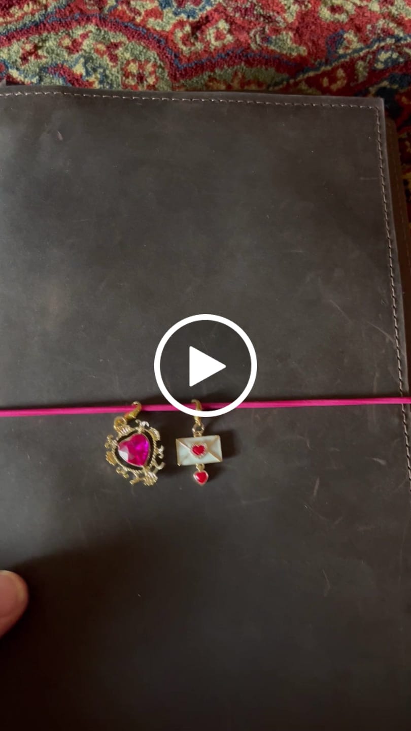 Customer video review of B5 Colorado Journal