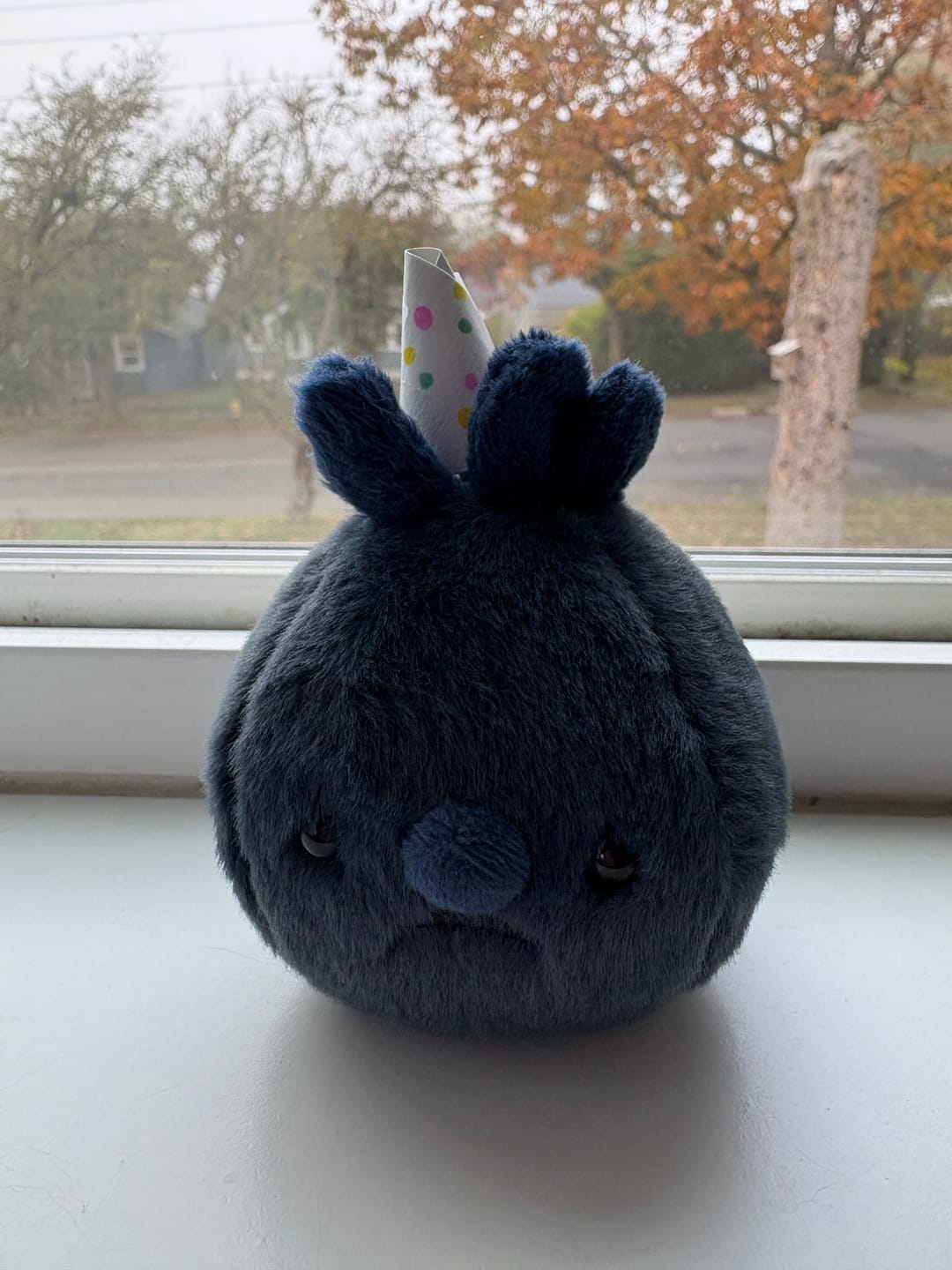 Customer photo review of Forgotten Single Blueberry